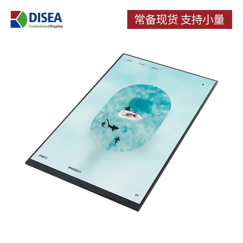 DS-T080BYEA-02