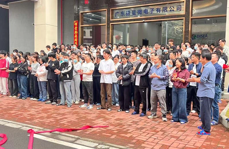 第十一期:德星微电子2026年春节复工仪式圆满举行